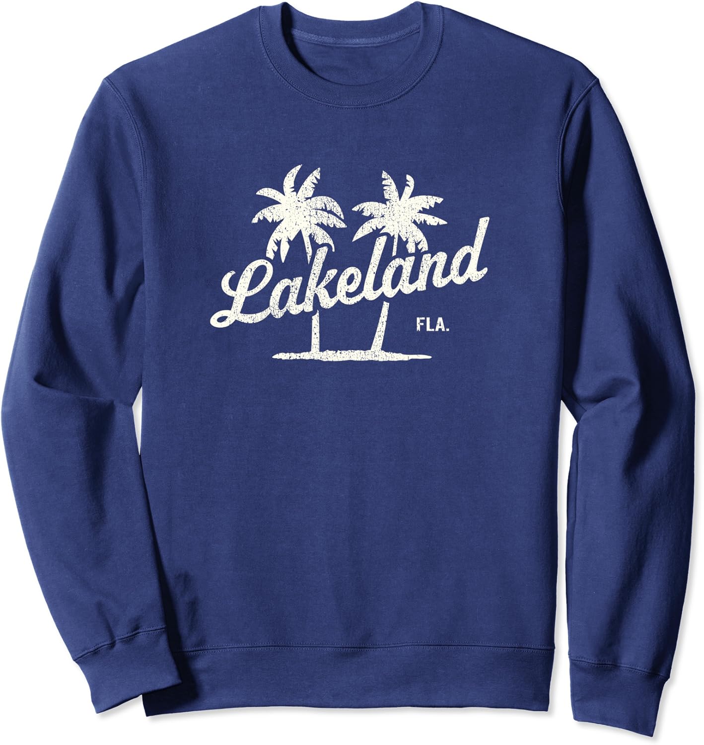 Lakeland Florida Vintage 70s Palm Trees Graphic Sweatshirt
